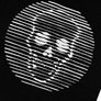 T-Shirt with Skull SKS14